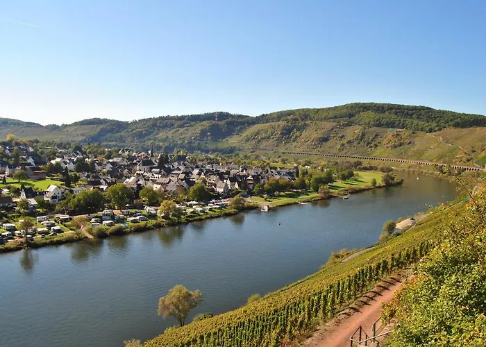 Weingut Markus Busch *